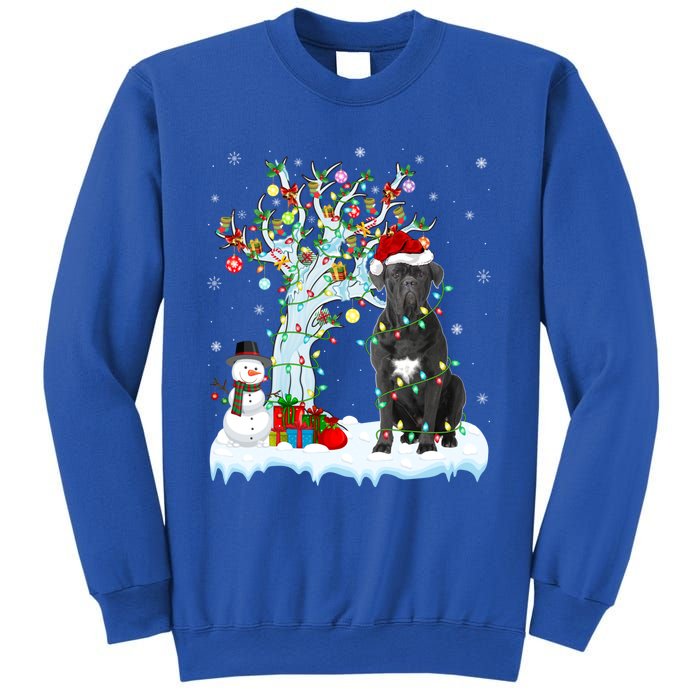 Cane Corso Dog Xmas Tree Lighting Santa Cane Corso Christmas Gift Sweatshirt