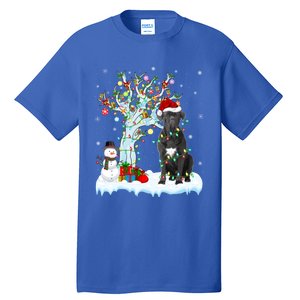 Cane Corso Dog Xmas Tree Lighting Santa Cane Corso Christmas Gift Tall T-Shirt