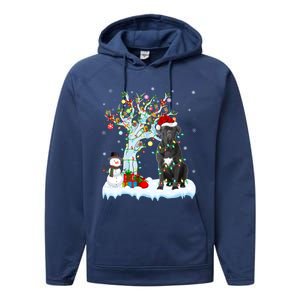 Cane Corso Dog Xmas Tree Lighting Santa Cane Corso Christmas Gift Performance Fleece Hoodie