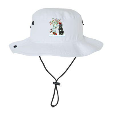 Cane Corso Dog Xmas Tree Lighting Santa Cane Corso Christmas Gift Legacy Cool Fit Booney Bucket Hat