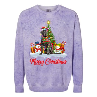 Cane Corso Dog Xmas Tree Lighting Santa Cane Corso Christmas Gift Colorblast Crewneck Sweatshirt