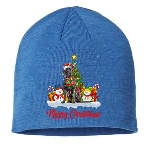 Cane Corso Dog Xmas Tree Lighting Santa Cane Corso Christmas Gift Sustainable Beanie