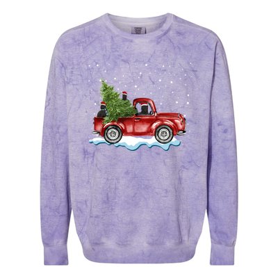 Cane Corso Dogs Ride Red Truck Christmas Gift Funny Xmas Funny Gift Colorblast Crewneck Sweatshirt