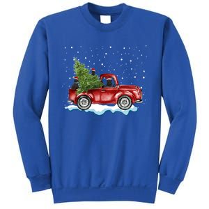 Cane Corso Dogs Ride Red Truck Christmas Gift Funny Xmas Funny Gift Sweatshirt