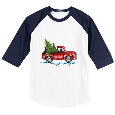 Cane Corso Dogs Ride Red Truck Christmas Gift Funny Xmas Funny Gift Baseball Sleeve Shirt