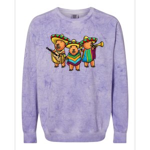 Capybara Cinco De Mayo Mexican Band Musician Women Colorblast Crewneck Sweatshirt