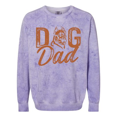 Cane Corso Dog Dad Cane Corso Lover Colorblast Crewneck Sweatshirt