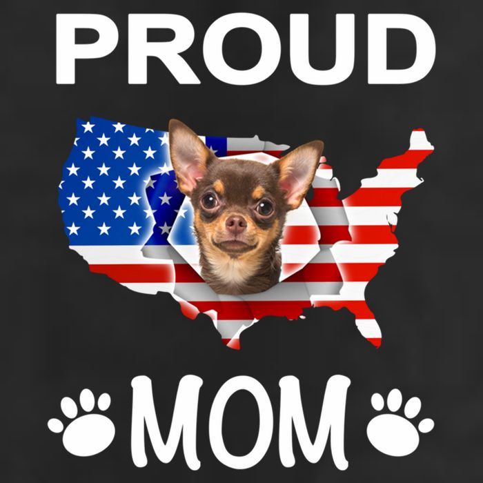 Chihuahua Chihuahua Dog Chihuahua Proud Patriot Mom Meaningful Gift 7 Panel Mesh Trucker Snapback Hat