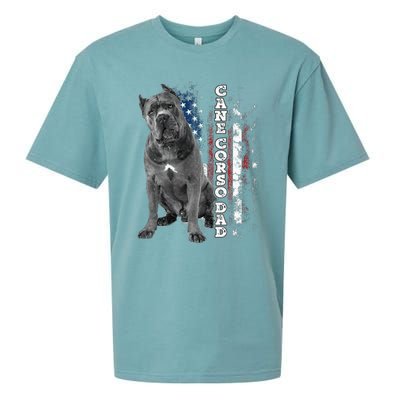 Cane Corso Dad Dog Owner Italian Mastiff Usa American Flag Sueded Cloud Jersey T-Shirt