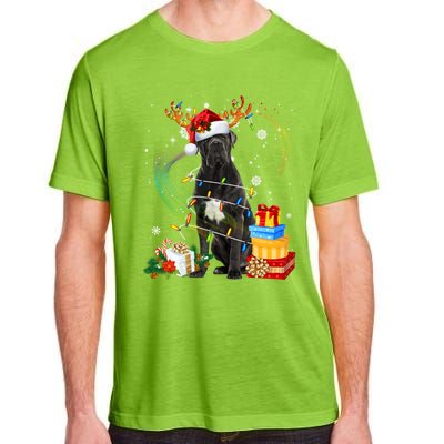 Cane Corso Dog Christmas Reindeer Santa Lights Dogs Xmas Gift Adult ChromaSoft Performance T-Shirt