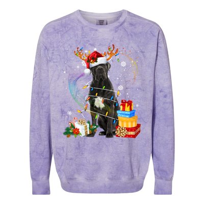 Cane Corso Dog Christmas Reindeer Santa Lights Dogs Xmas Gift Colorblast Crewneck Sweatshirt