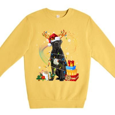 Cane Corso Dog Christmas Reindeer Santa Lights Dogs Xmas Gift Premium Crewneck Sweatshirt