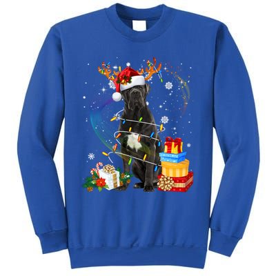 Cane Corso Dog Christmas Reindeer Santa Lights Dogs Xmas Gift Sweatshirt