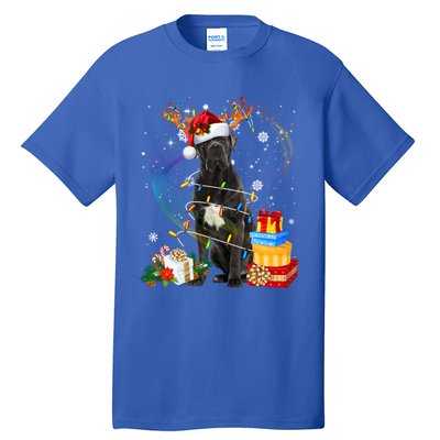 Cane Corso Dog Christmas Reindeer Santa Lights Dogs Xmas Gift Tall T-Shirt