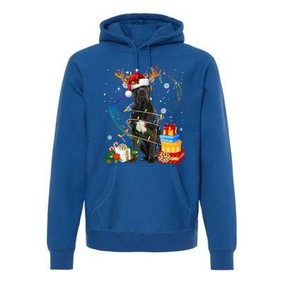 Cane Corso Dog Christmas Reindeer Santa Lights Dogs Xmas Gift Premium Hoodie