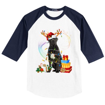 Cane Corso Dog Christmas Reindeer Santa Lights Dogs Xmas Gift Baseball Sleeve Shirt