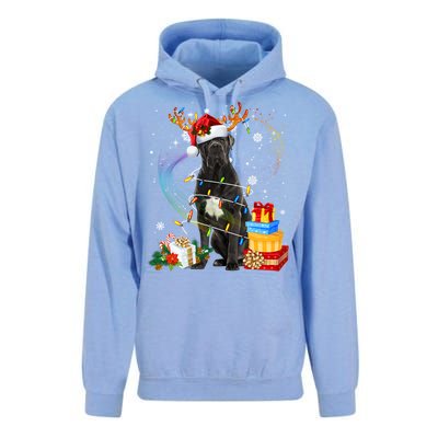 Cane Corso Dog Christmas Reindeer Santa Lights Dogs Xmas Gift Unisex Surf Hoodie