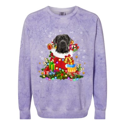 Cane Corso Dog Christmas Tree Lights Pajamas Xmas Matching Great Gift Colorblast Crewneck Sweatshirt