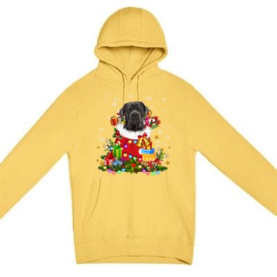 Cane Corso Dog Christmas Tree Lights Pajamas Xmas Matching Great Gift Premium Pullover Hoodie