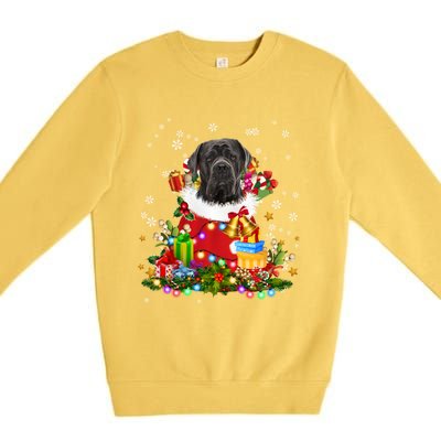 Cane Corso Dog Christmas Tree Lights Pajamas Xmas Matching Great Gift Premium Crewneck Sweatshirt