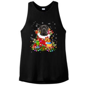 Cane Corso Dog Christmas Tree Lights Pajamas Xmas Matching Great Gift Ladies PosiCharge Tri-Blend Wicking Tank