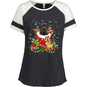 Cane Corso Dog Christmas Tree Lights Pajamas Xmas Matching Great Gift Enza Ladies Jersey Colorblock Tee