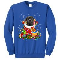 Cane Corso Dog Christmas Tree Lights Pajamas Xmas Matching Great Gift Sweatshirt