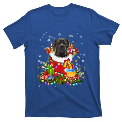 Cane Corso Dog Christmas Tree Lights Pajamas Xmas Matching Great Gift T-Shirt