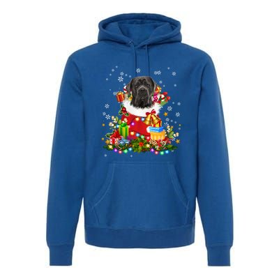 Cane Corso Dog Christmas Tree Lights Pajamas Xmas Matching Great Gift Premium Hoodie