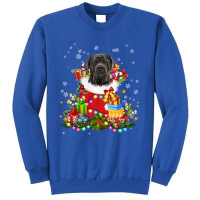 Cane Corso Dog Christmas Tree Lights Pajamas Xmas Matching Great Gift Tall Sweatshirt