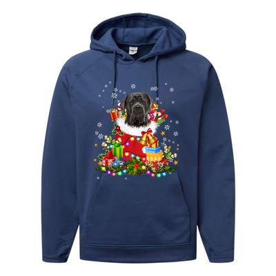 Cane Corso Dog Christmas Tree Lights Pajamas Xmas Matching Great Gift Performance Fleece Hoodie