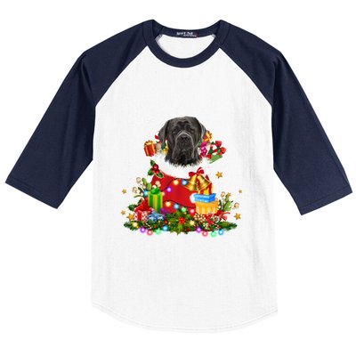 Cane Corso Dog Christmas Tree Lights Pajamas Xmas Matching Great Gift Baseball Sleeve Shirt