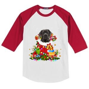 Cane Corso Dog Christmas Tree Lights Pajamas Xmas Matching Great Gift Kids Colorblock Raglan Jersey