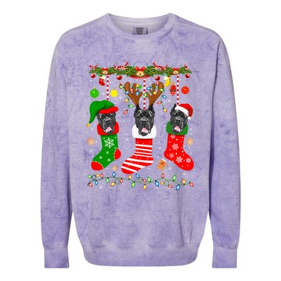 Cane Corso Dog In Christmas Socks Lights Xmas Gift Colorblast Crewneck Sweatshirt