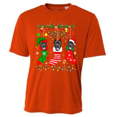 Cane Corso Dog In Christmas Socks Lights Xmas Gift Cooling Performance Crew T-Shirt