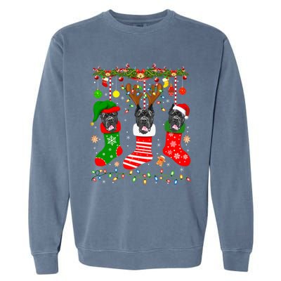 Cane Corso Dog In Christmas Socks Lights Xmas Gift Garment-Dyed Sweatshirt