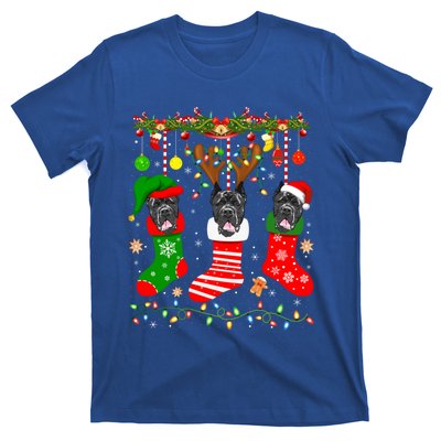 Cane Corso Dog In Christmas Socks Lights Xmas Gift T-Shirt