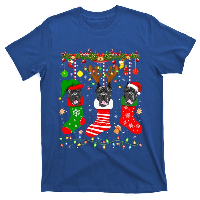 Cane Corso Dog In Christmas Socks Lights Xmas Gift T-Shirt