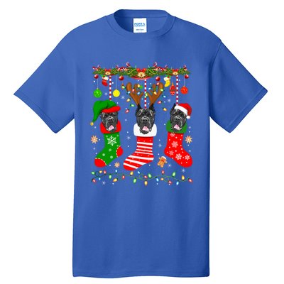 Cane Corso Dog In Christmas Socks Lights Xmas Gift Tall T-Shirt