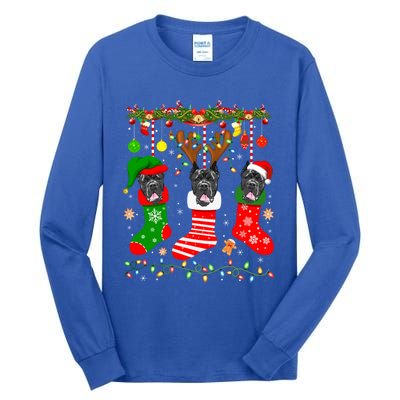 Cane Corso Dog In Christmas Socks Lights Xmas Gift Tall Long Sleeve T-Shirt