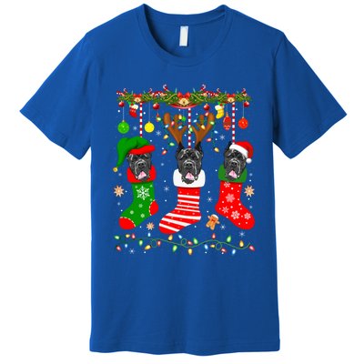 Cane Corso Dog In Christmas Socks Lights Xmas Gift Premium T-Shirt