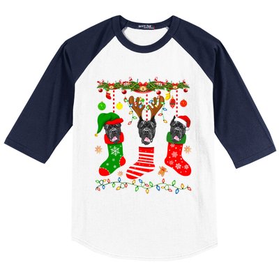 Cane Corso Dog In Christmas Socks Lights Xmas Gift Baseball Sleeve Shirt