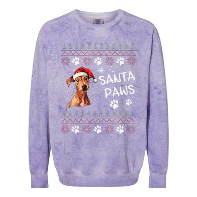 Cute Cirneco DellEtna Dog Ugly Christmas Santa Paws Colorblast Crewneck Sweatshirt