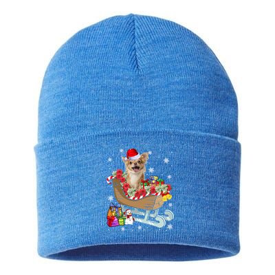 Cute Chihuahua Dog Christmas Santa Hat Xmas Puppy Lover Funny Gift Sustainable Knit Beanie