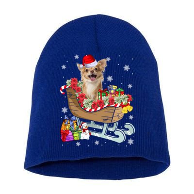 Cute Chihuahua Dog Christmas Santa Hat Xmas Puppy Lover Funny Gift Short Acrylic Beanie