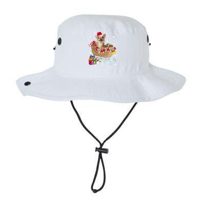 Cute Chihuahua Dog Christmas Santa Hat Xmas Puppy Lover Funny Gift Legacy Cool Fit Booney Bucket Hat