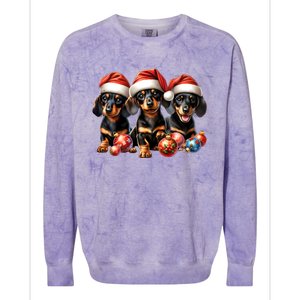 Cute Christmas Doxie Puppies In Santa Hats And Xmas Ornats Gift Colorblast Crewneck Sweatshirt