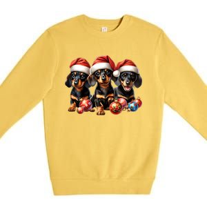 Cute Christmas Doxie Puppies In Santa Hats And Xmas Ornats Gift Premium Crewneck Sweatshirt