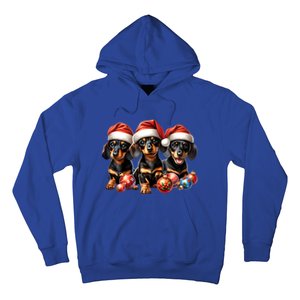 Cute Christmas Doxie Puppies In Santa Hats And Xmas Ornats Gift Hoodie