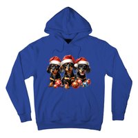 Cute Christmas Doxie Puppies In Santa Hats And Xmas Ornats Gift Hoodie